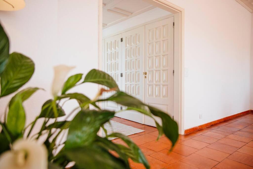 Appartamento Penthouse S.Jorge Seaview T4 Quarteira Esterno foto